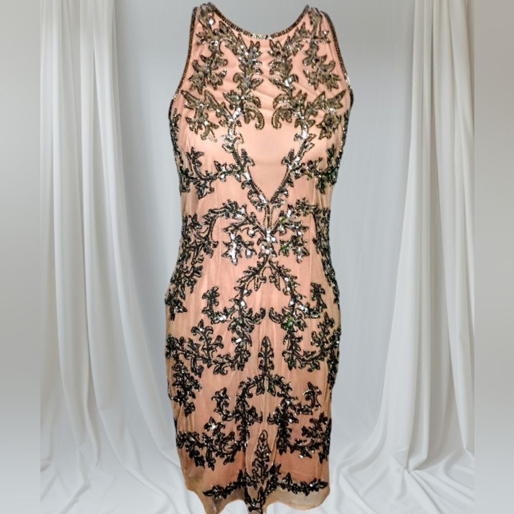 Adrianna Papell Embellished Chiffon Sheath Cocktail Dress Size 8 - Picture 11 of 16